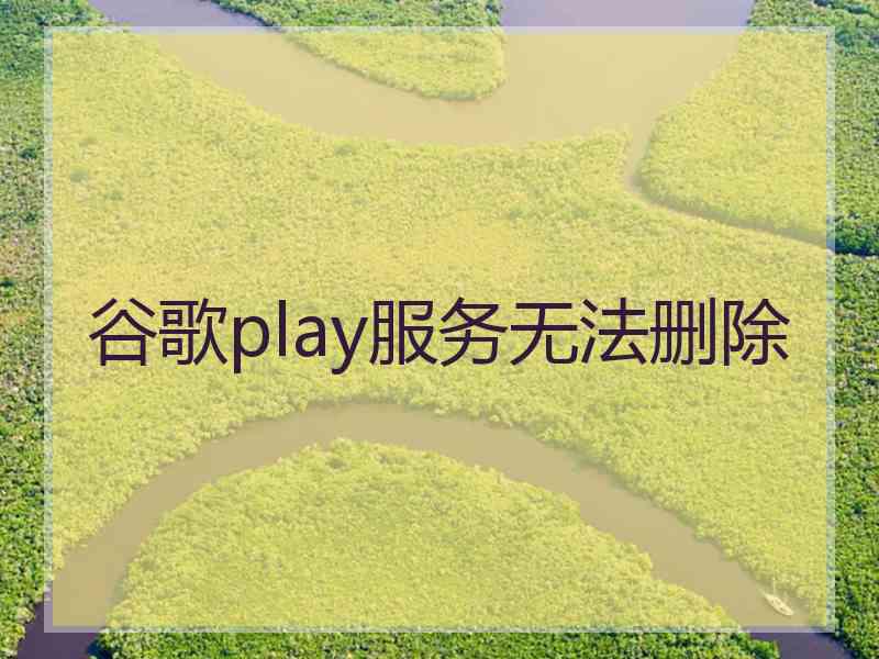 谷歌play服务无法删除