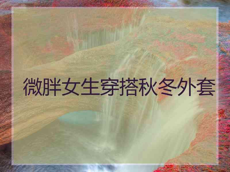 微胖女生穿搭秋冬外套