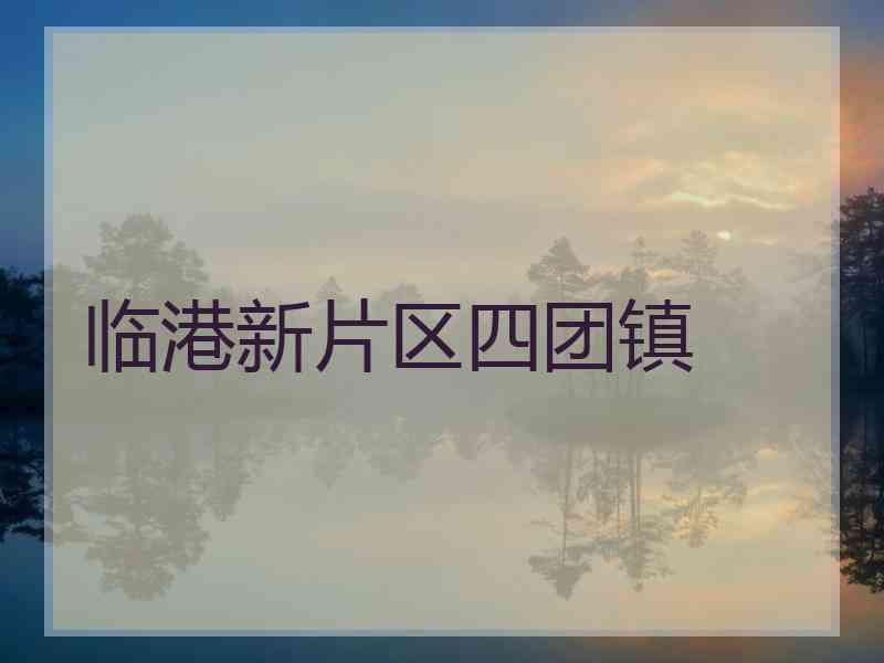 临港新片区四团镇