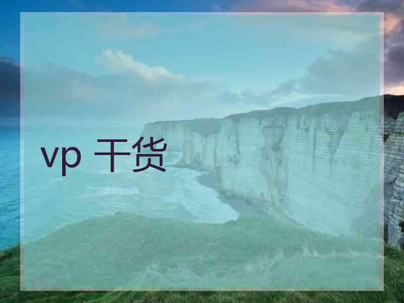 vp 干货