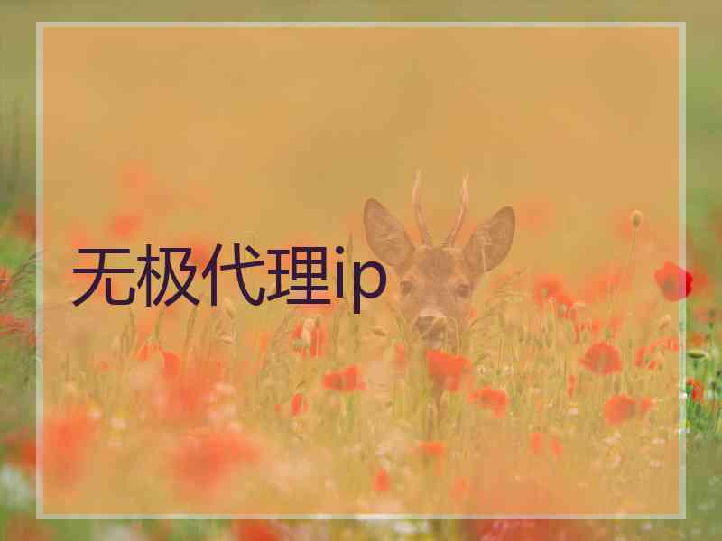 无极代理ip