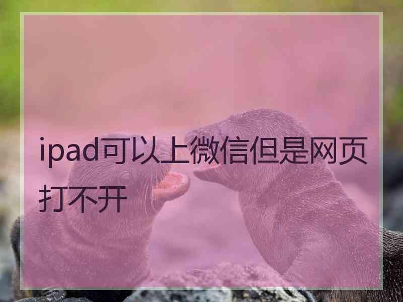 ipad可以上微信但是网页打不开