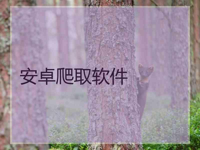 安卓爬取软件