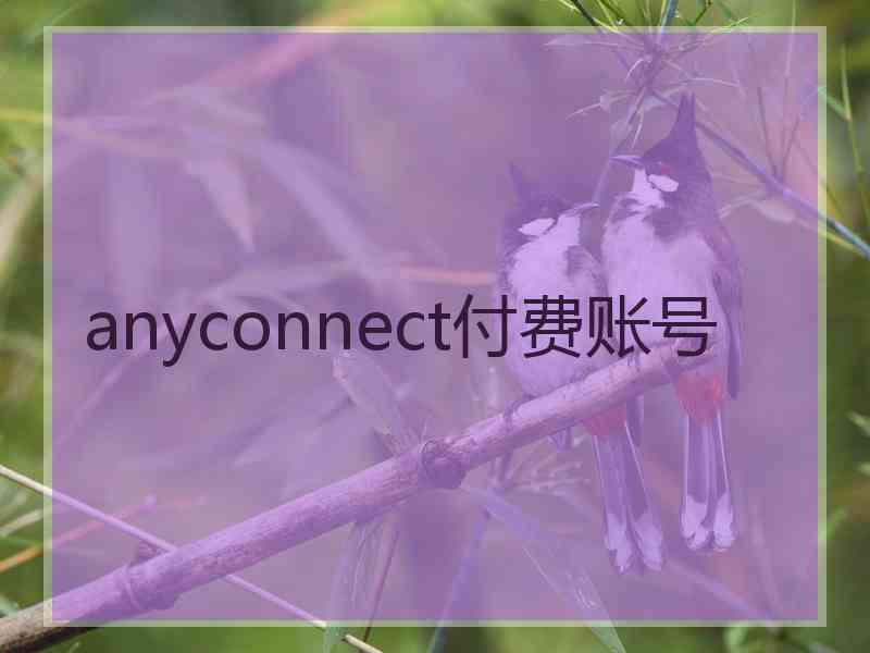 anyconnect付费账号