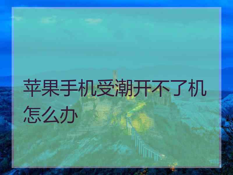 苹果手机受潮开不了机怎么办