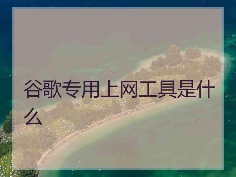 谷歌专用上网工具是什么