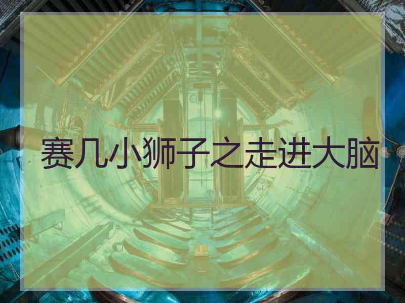 赛几小狮子之走进大脑