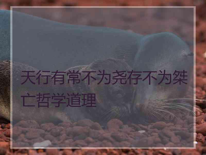 天行有常不为尧存不为桀亡哲学道理