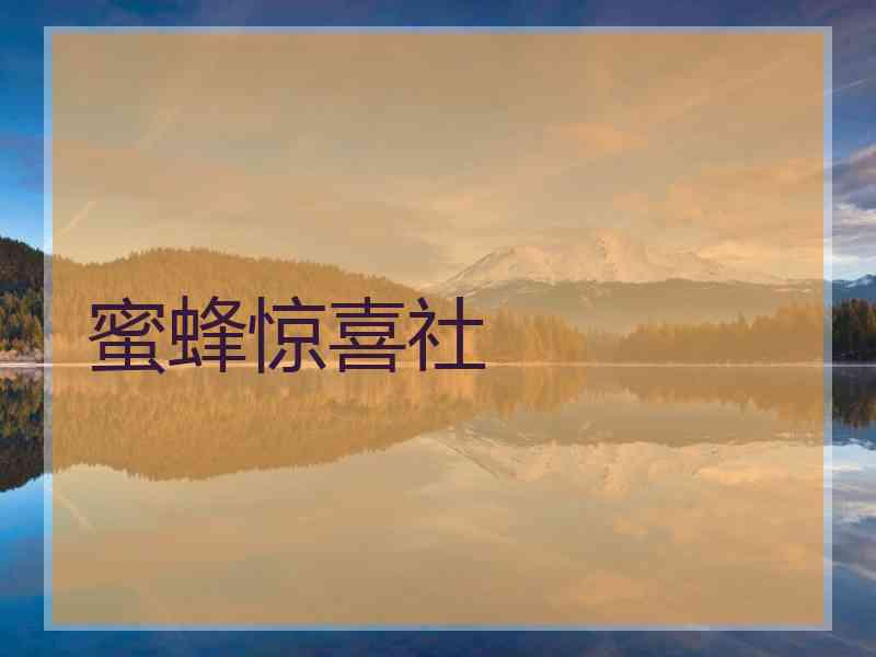 蜜蜂惊喜社