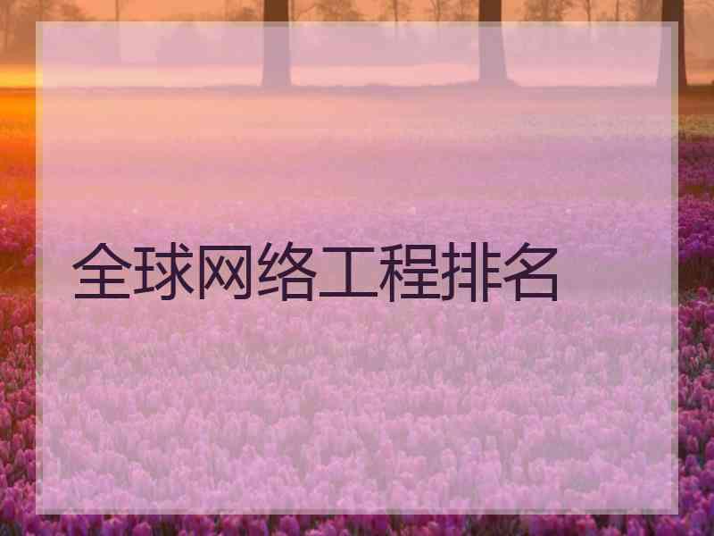 全球网络工程排名
