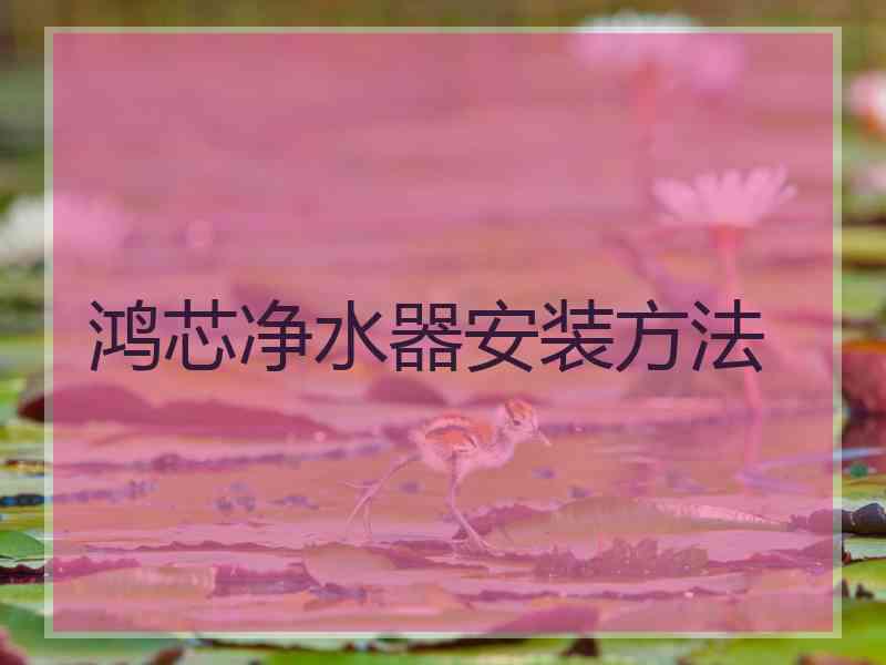 鸿芯净水器安装方法
