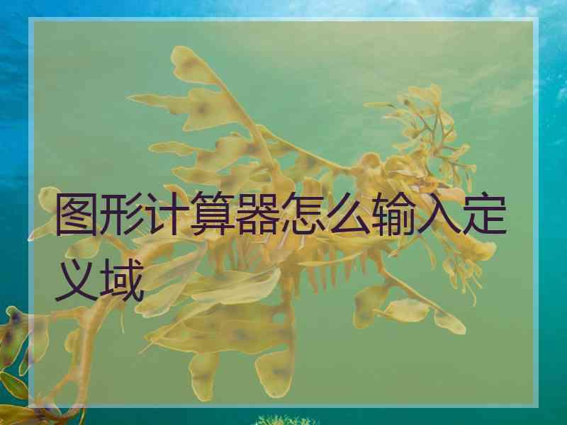 图形计算器怎么输入定义域