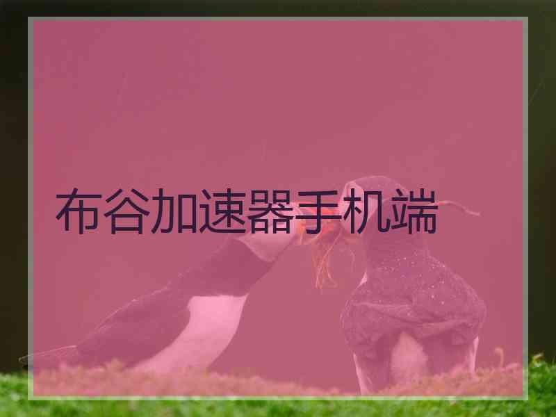 布谷加速器手机端