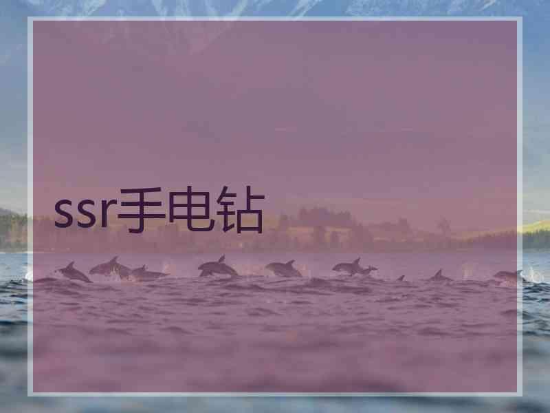 ssr手电钻