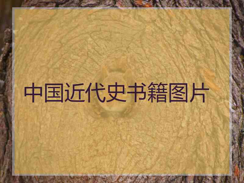 中国近代史书籍图片