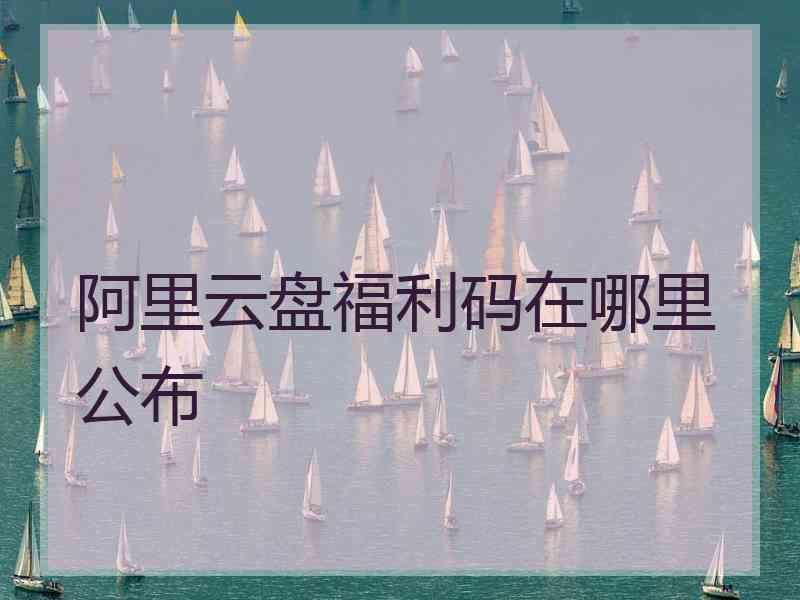 阿里云盘福利码在哪里公布
