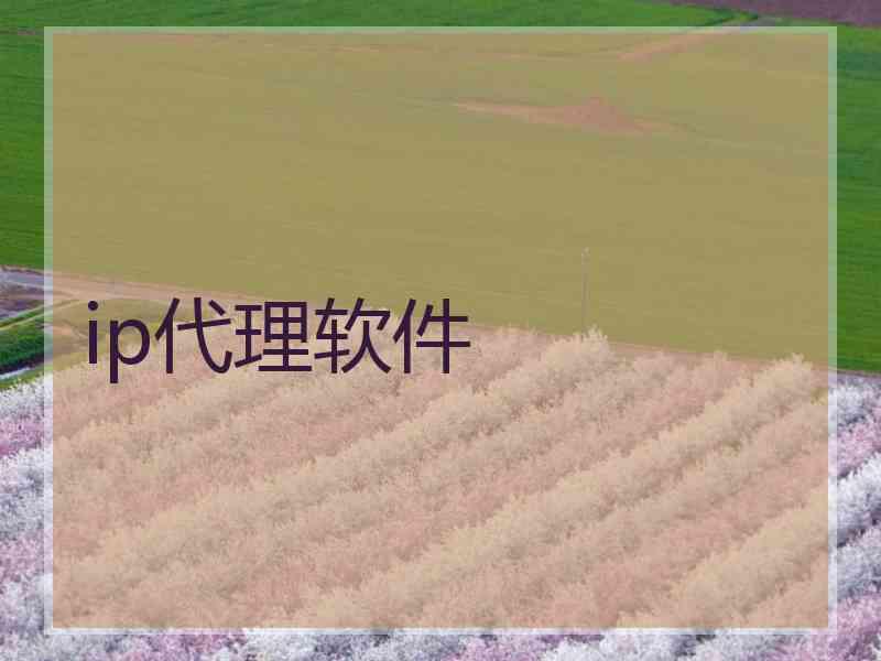 ip代理软件