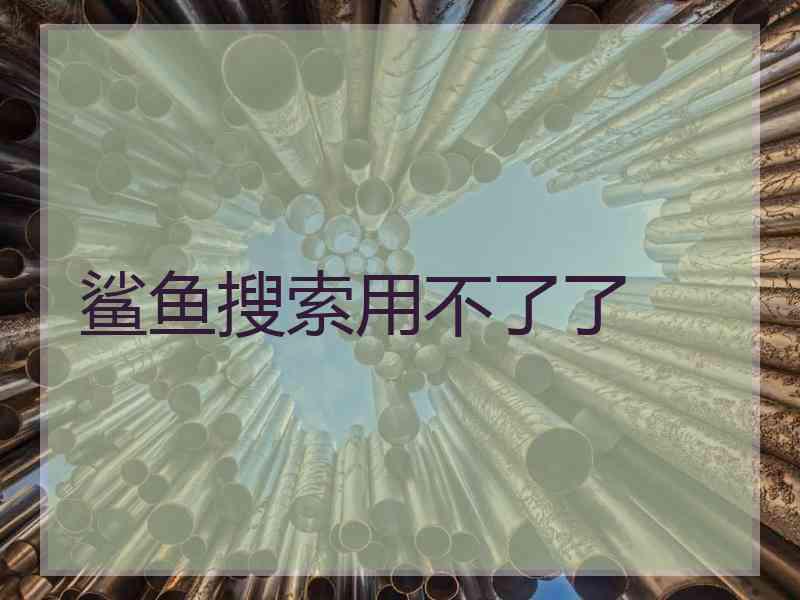 鲨鱼搜索用不了了