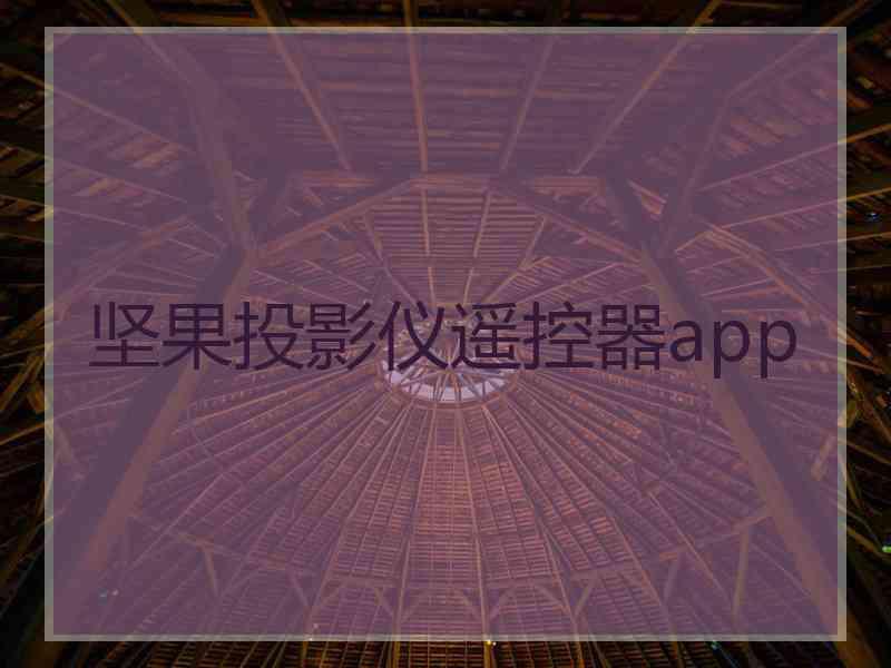 坚果投影仪遥控器app