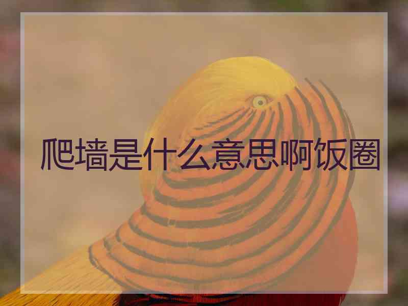 爬墙是什么意思啊饭圈