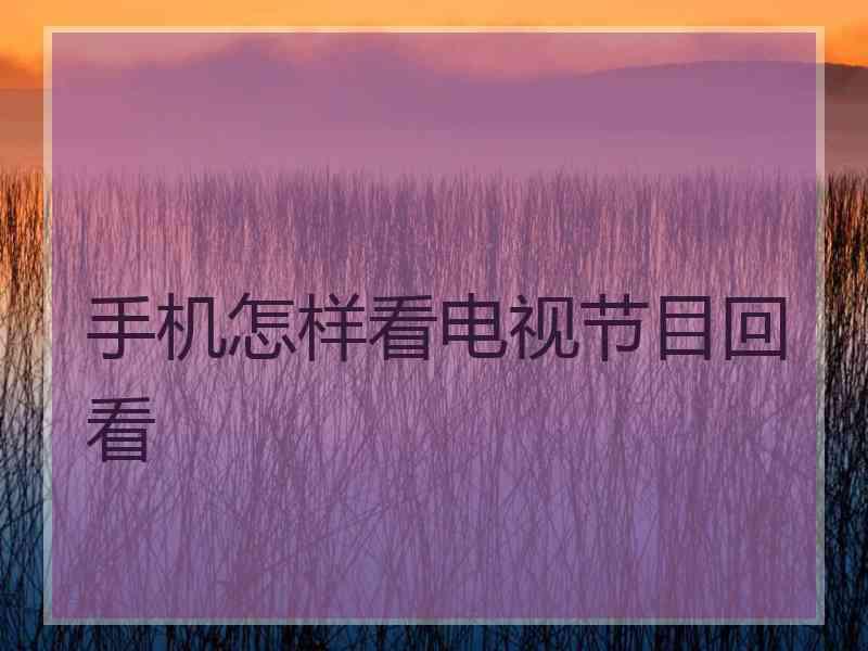 手机怎样看电视节目回看