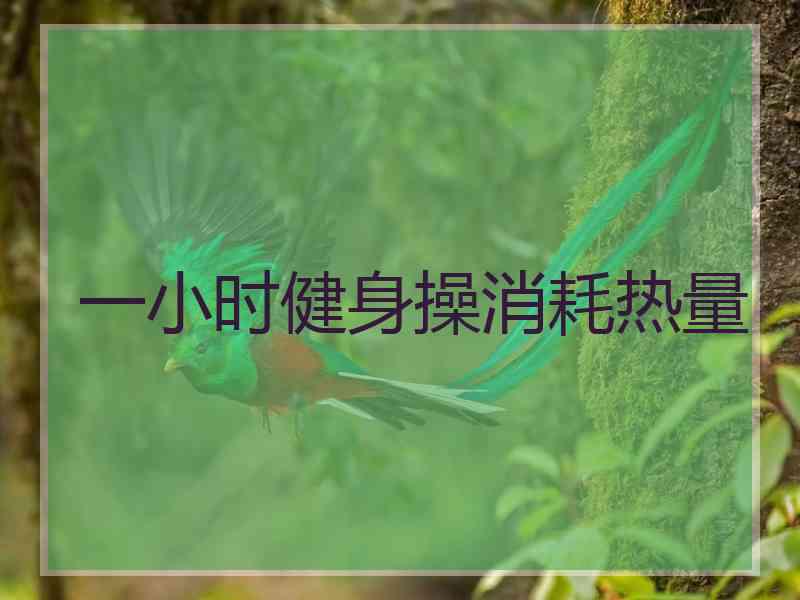 一小时健身操消耗热量