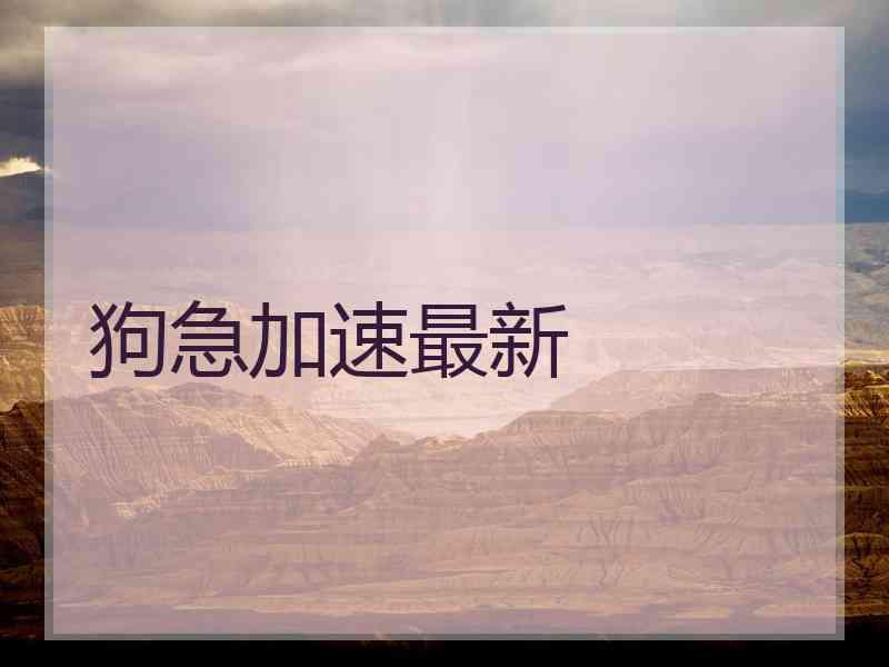 狗急加速最新