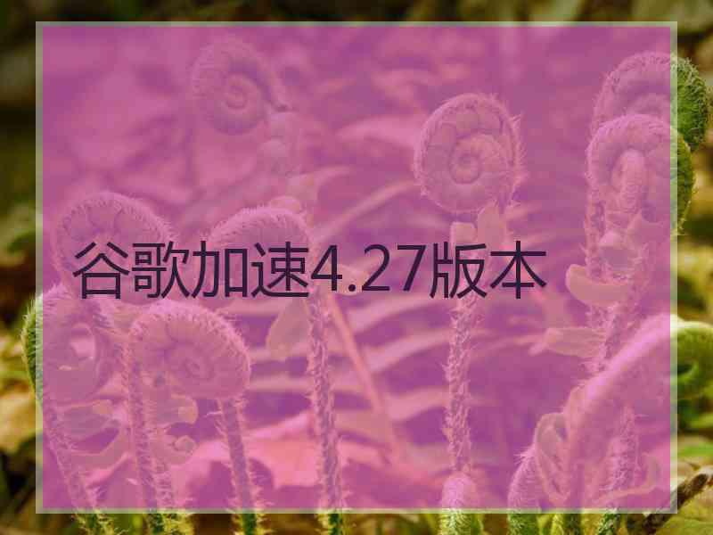 谷歌加速4.27版本