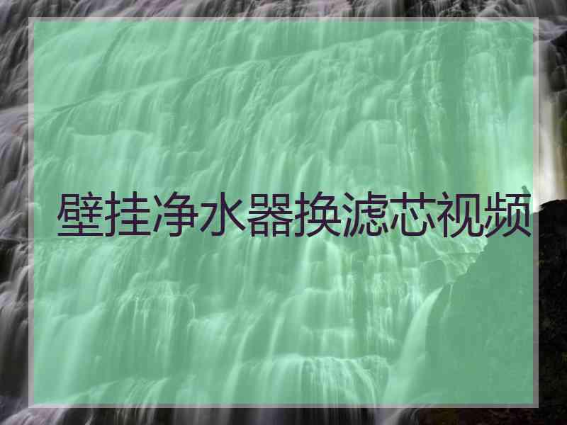 壁挂净水器换滤芯视频