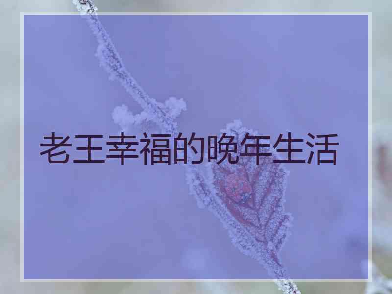 老王幸福的晚年生活