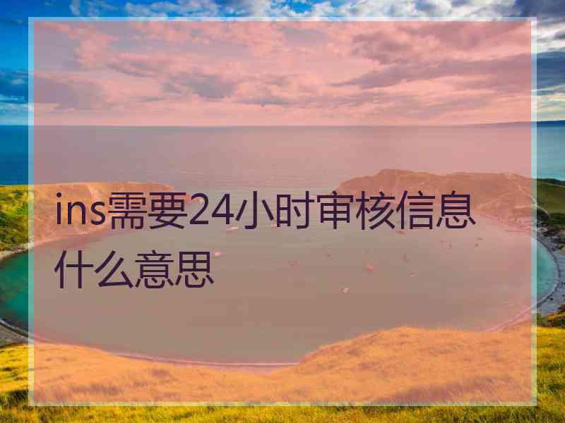 ins需要24小时审核信息什么意思