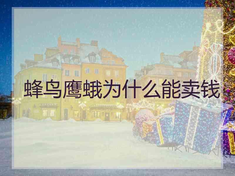 蜂鸟鹰蛾为什么能卖钱
