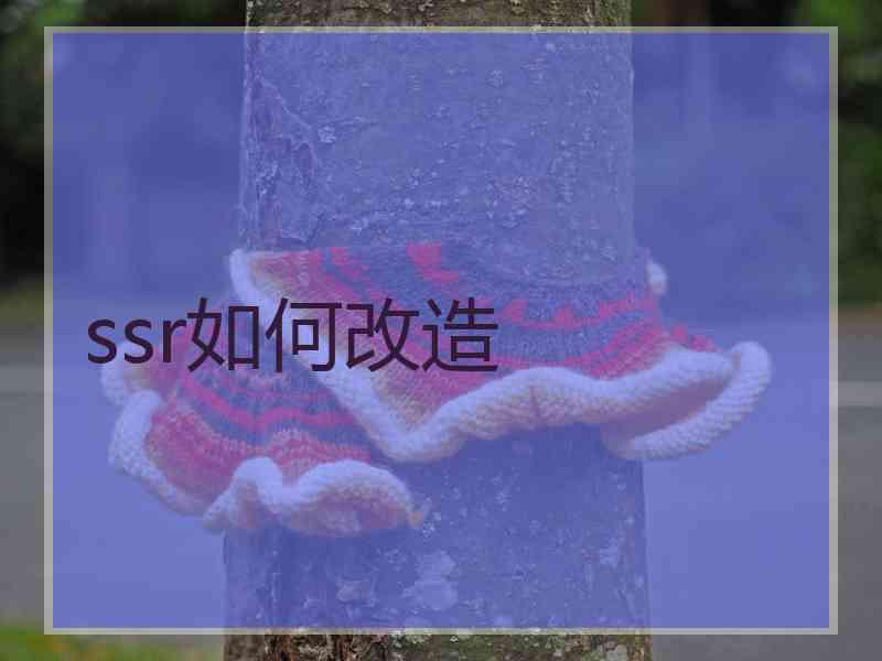 ssr如何改造