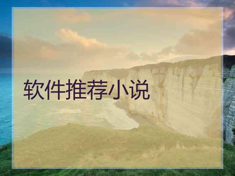 软件推荐小说