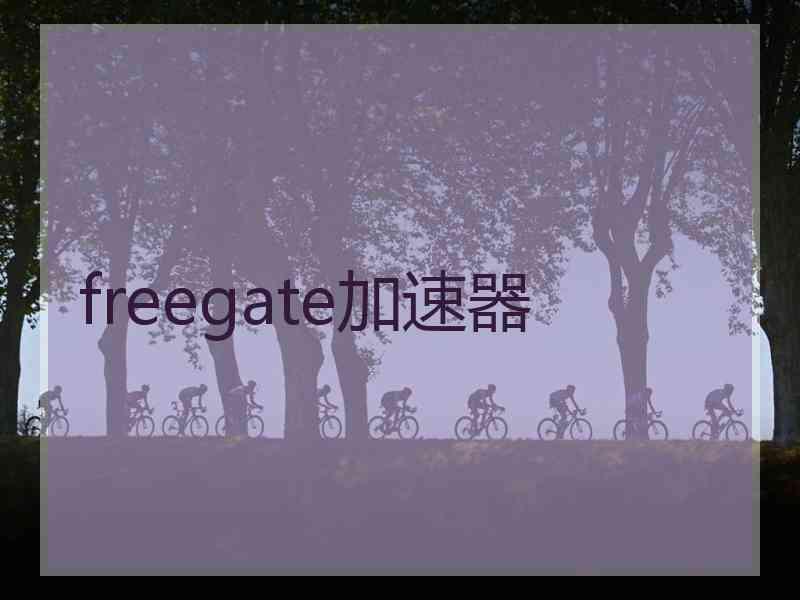 freegate加速器