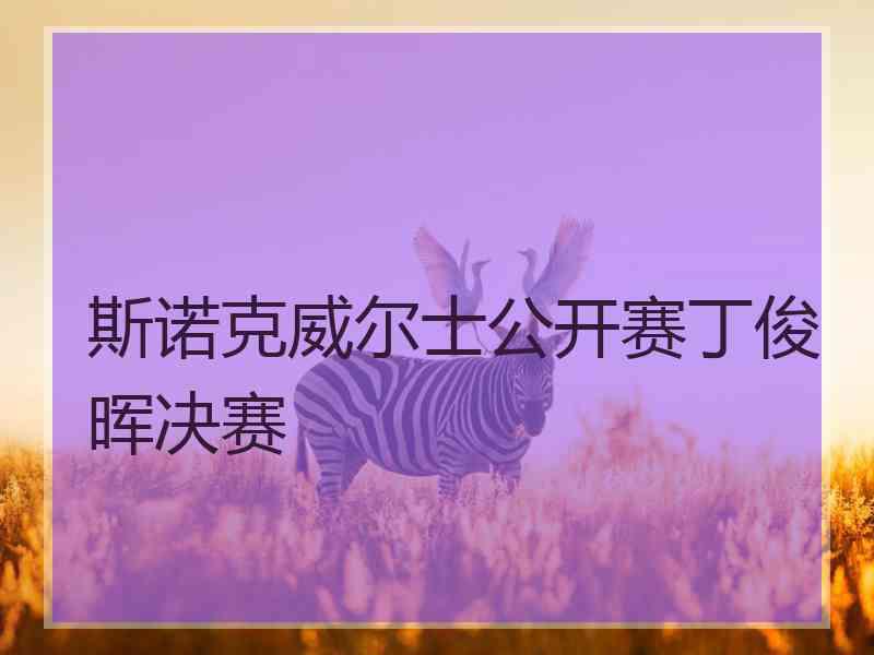 斯诺克威尔士公开赛丁俊晖决赛