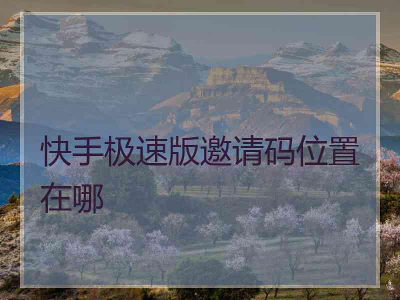 快手极速版邀请码位置在哪