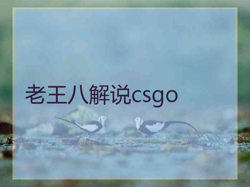 老王八解说csgo