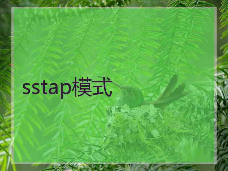 sstap模式