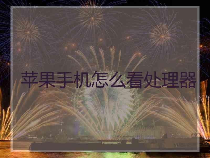 苹果手机怎么看处理器