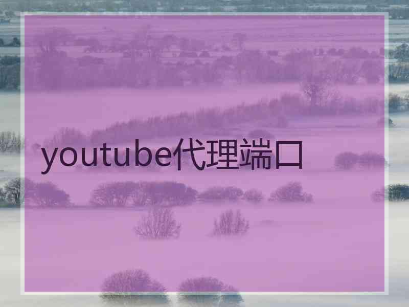 youtube代理端口