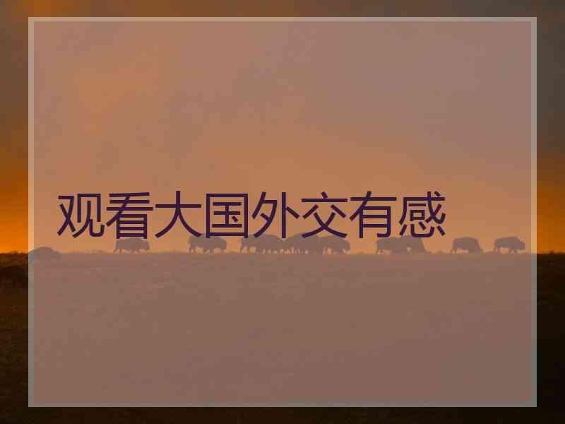 观看大国外交有感
