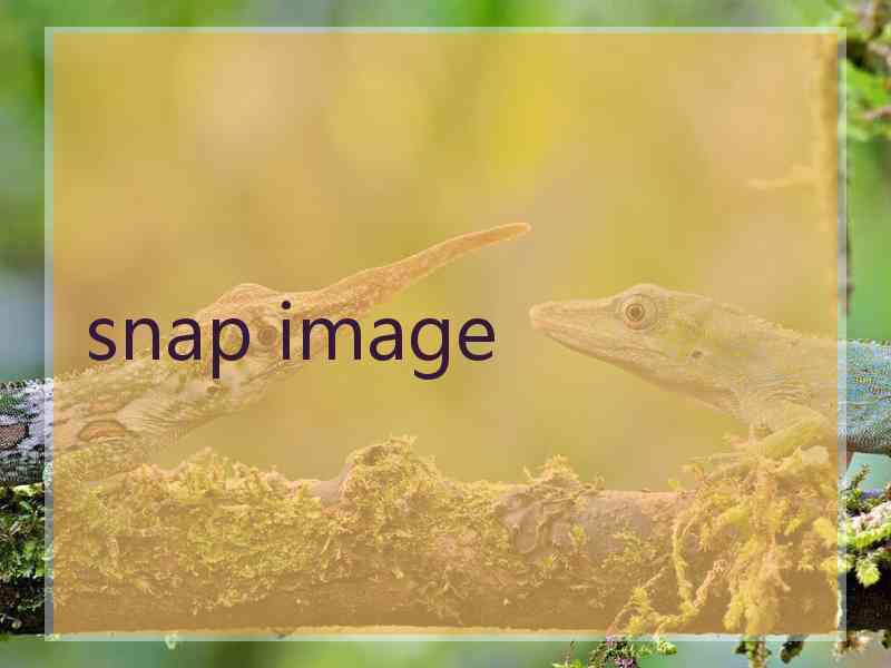 snap image