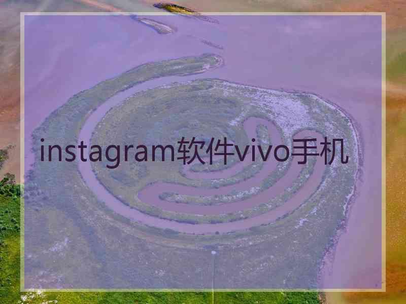 instagram软件vivo手机