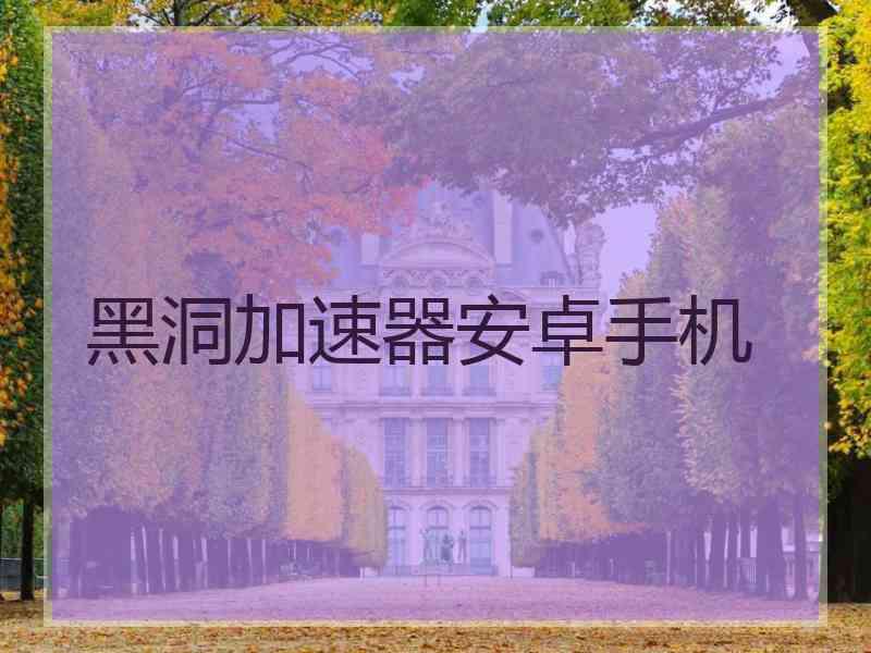 黑洞加速器安卓手机