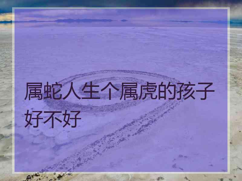 属蛇人生个属虎的孩子好不好