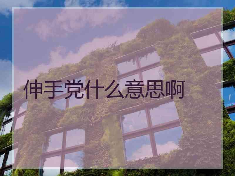 伸手党什么意思啊