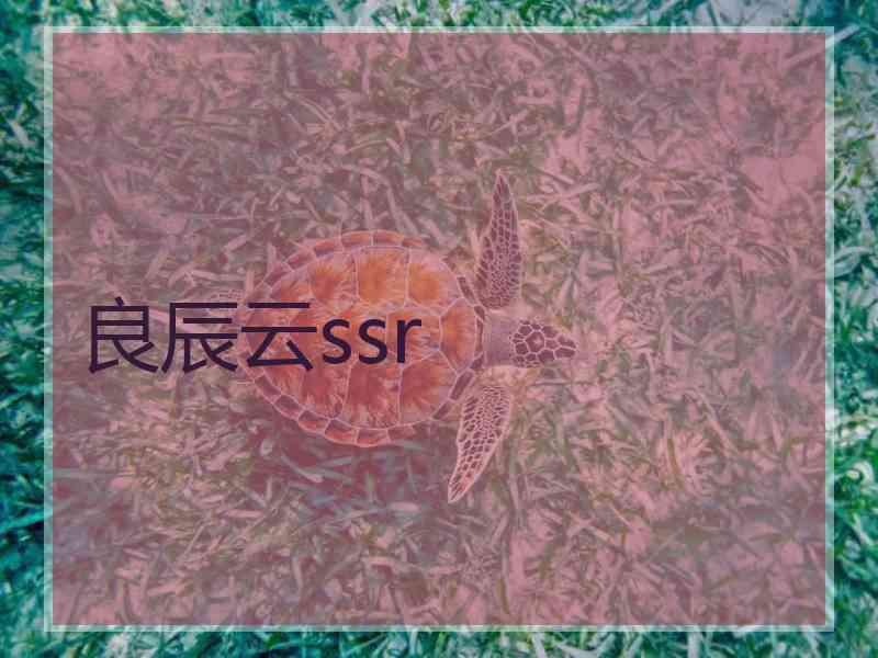 良辰云ssr