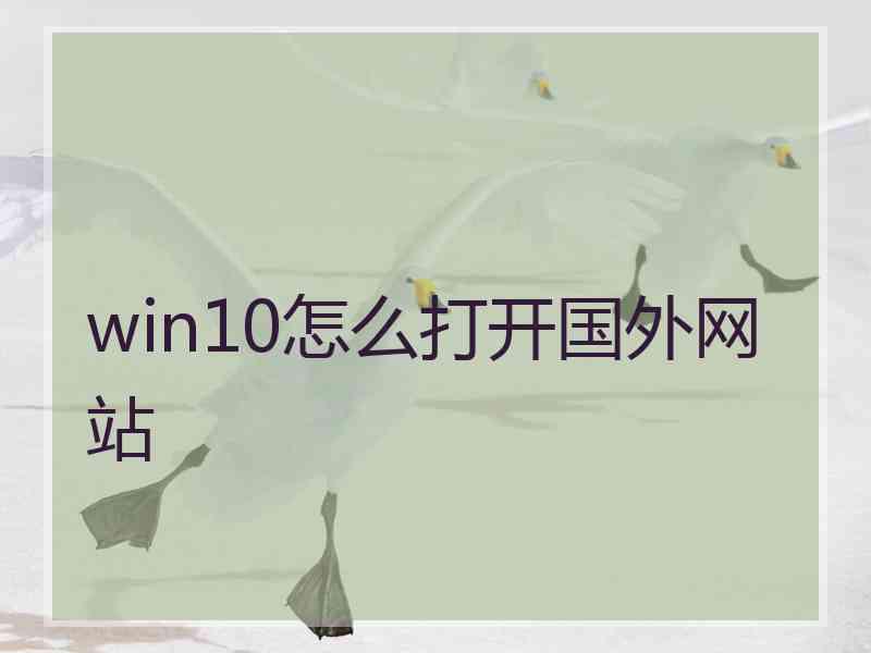 win10怎么打开国外网站
