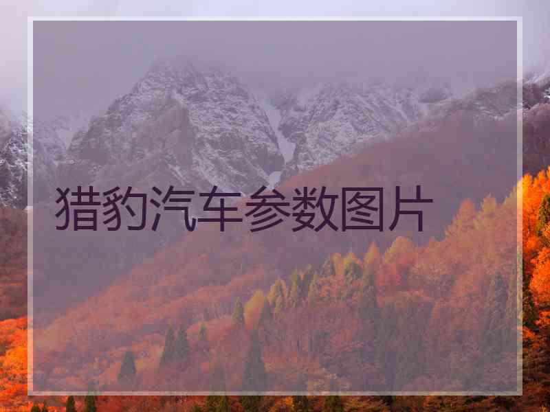 猎豹汽车参数图片